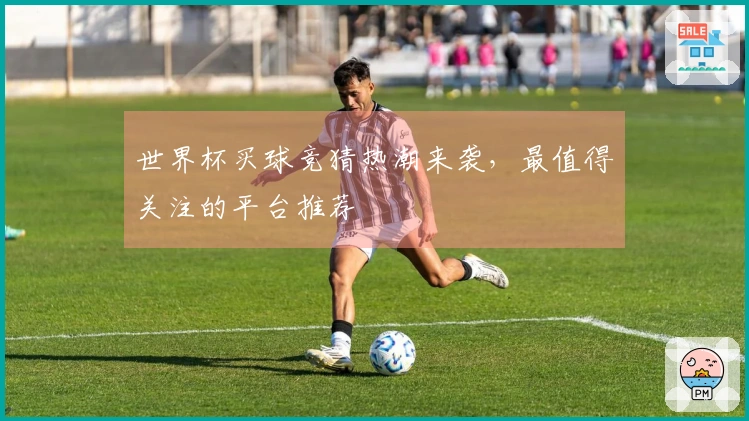 世界杯买球竞猜热潮来袭，最值得关注的平台推荐