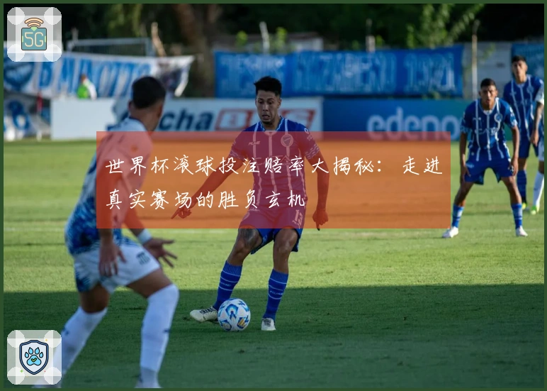 世界杯滚球投注赔率大揭秘：走进真实赛场的胜负玄机