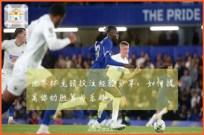 世界杯竞猜投注经验分享，如何提高你的胜算与乐趣